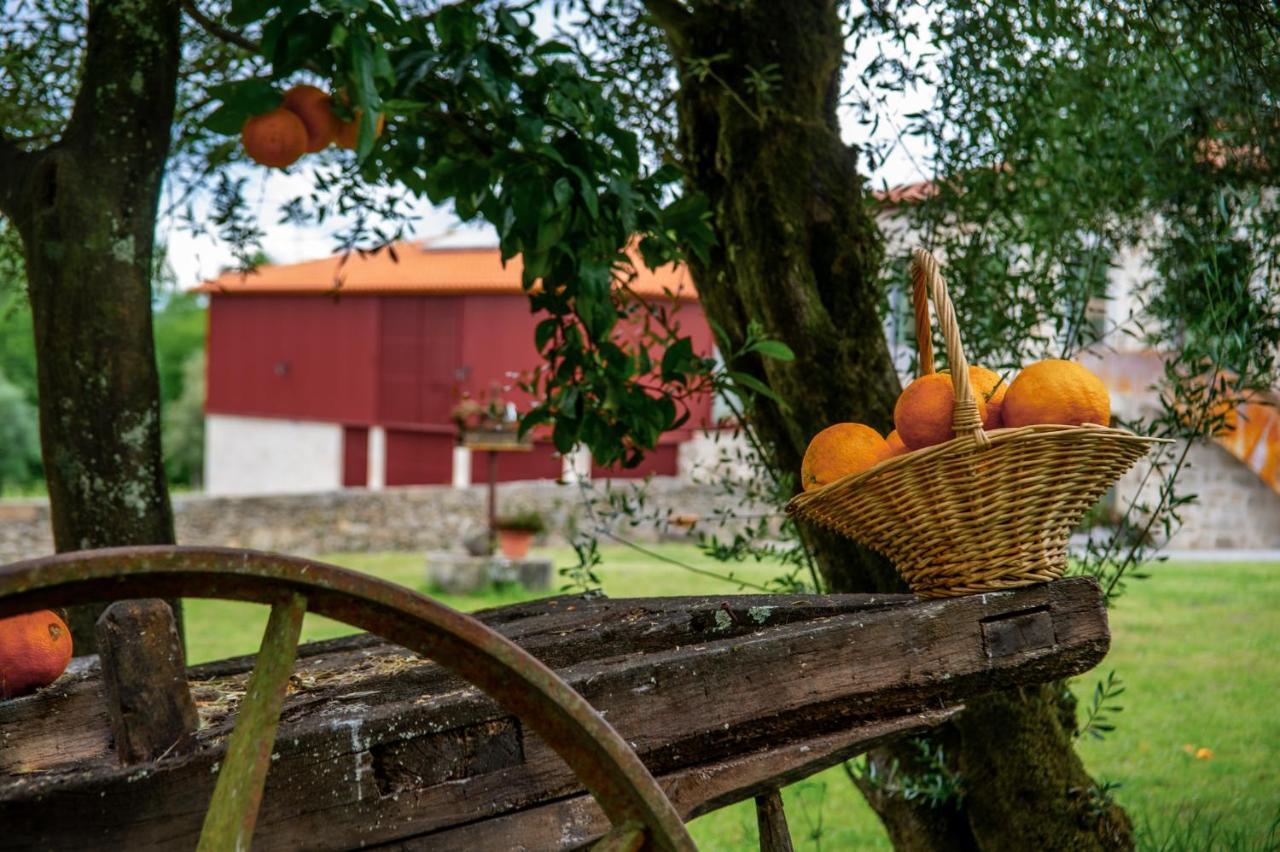Quinta De Chousas - Braga - Agroturismo Exterior foto
